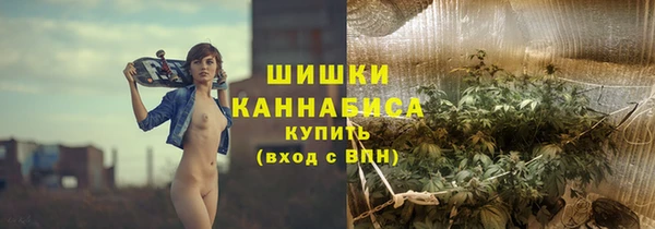 стаф Аркадак