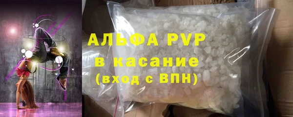 стаф Аркадак