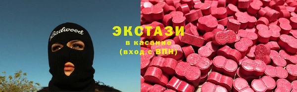 стаф Аркадак