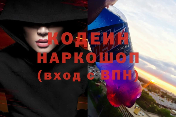 стаф Аркадак