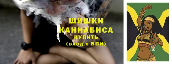 прущий лед Рославль