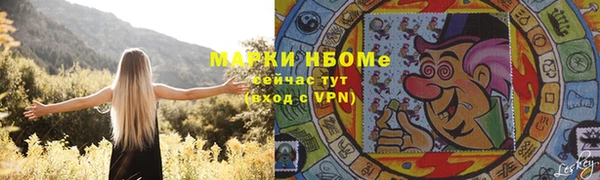 стаф Аркадак